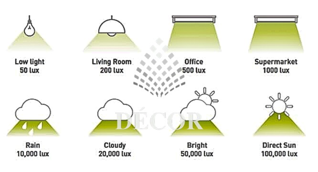 thông số lux của các đơn vị bóng đèn so với ánh sáng tự nhiên